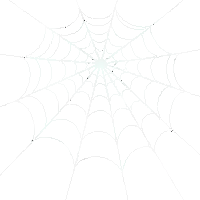 spider web